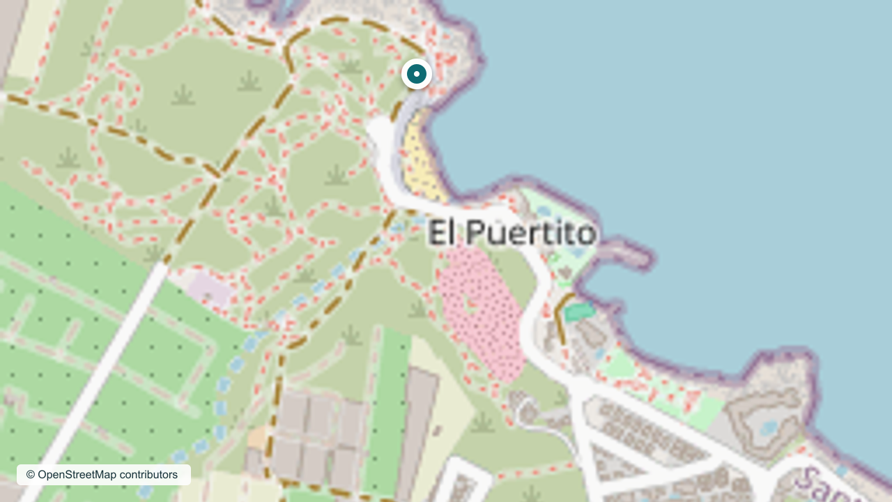 Map view centered on Charco de La Araña and the El Puertito coast in Los Silos.