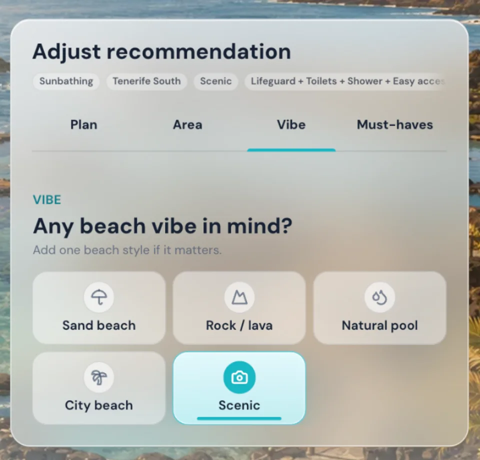 PlayaGo Vibe selector choices for beach styles.