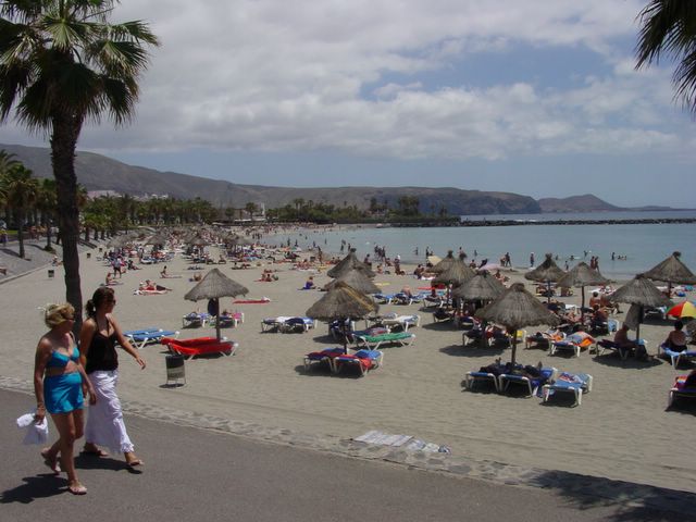 Playa del Camisón cerca de Arona